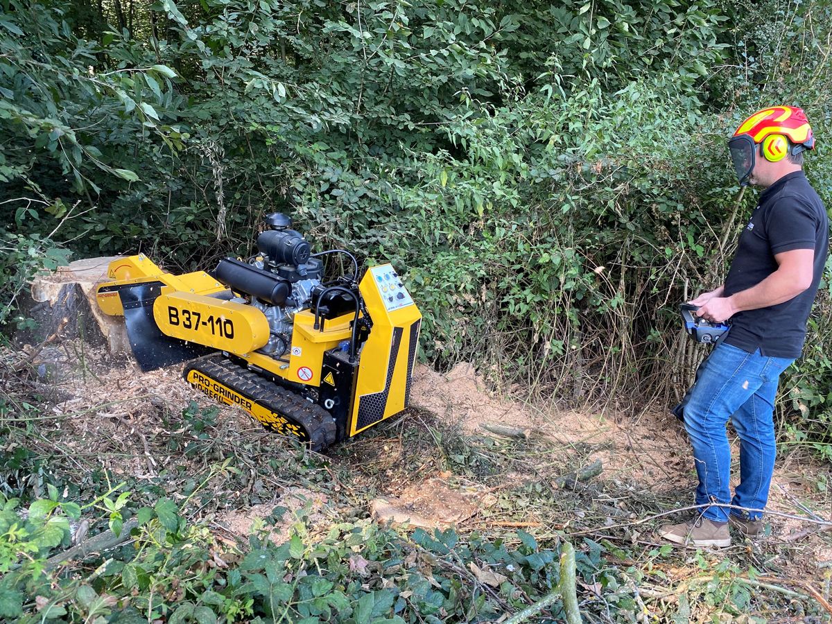 Jo Beau Stump Grinder